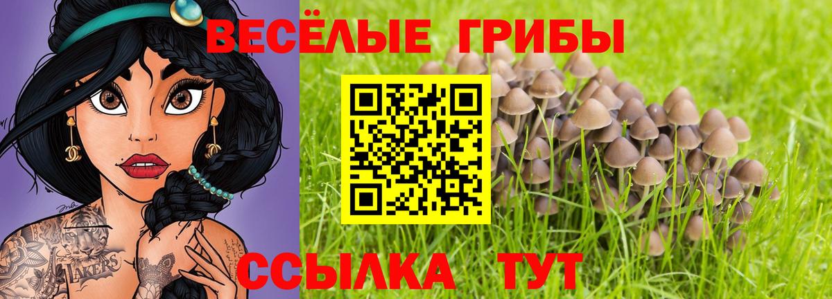 Галлюциногенные грибы Cubensis Киров