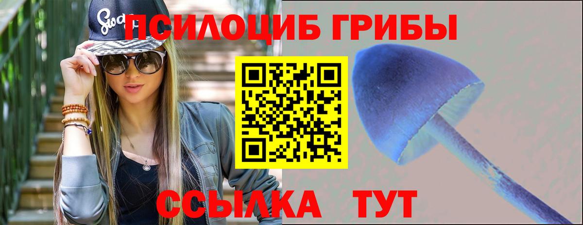 Киров  Псилоцибиновые грибы Psilocybine cubensis  Вход с VPN 